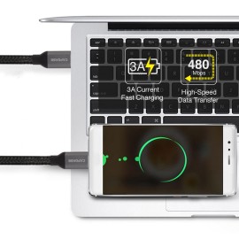 Capdase Metallic USB-C to USB-C (1.2M)