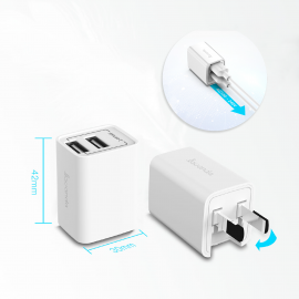 Lavanda Dual USB Wall Charger with Micro USB Cable