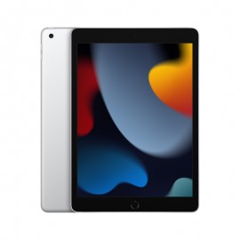 Apple iPad 10.2 inch 9th Gen Wi-Fi 256GB